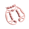 Rolli Leg Clamp