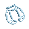 Rolli Leg Clamp